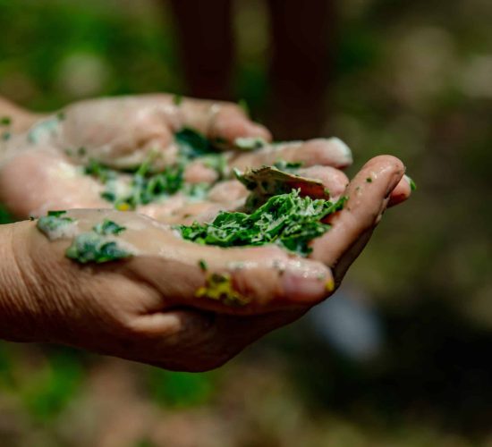 Cultural practice demonstration