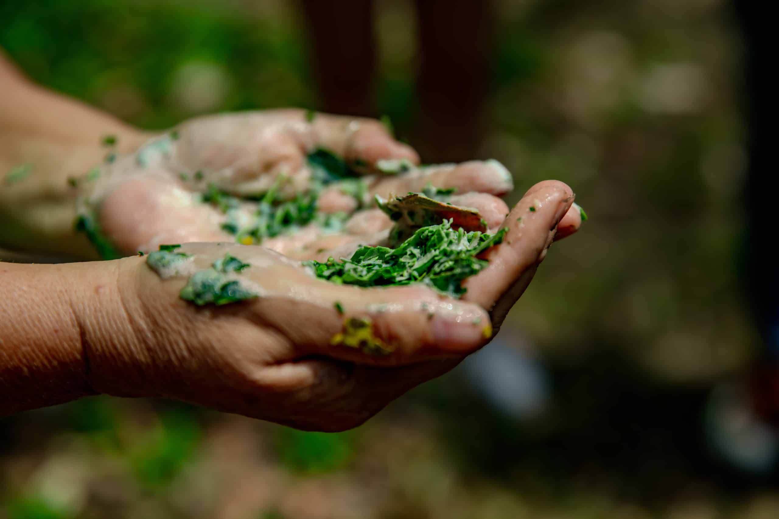 Cultural tour activity