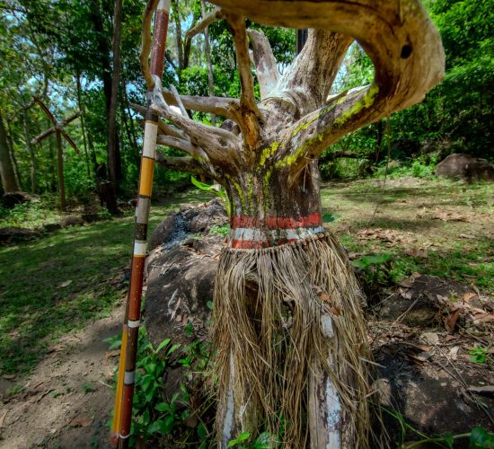 Ceremonial tree art